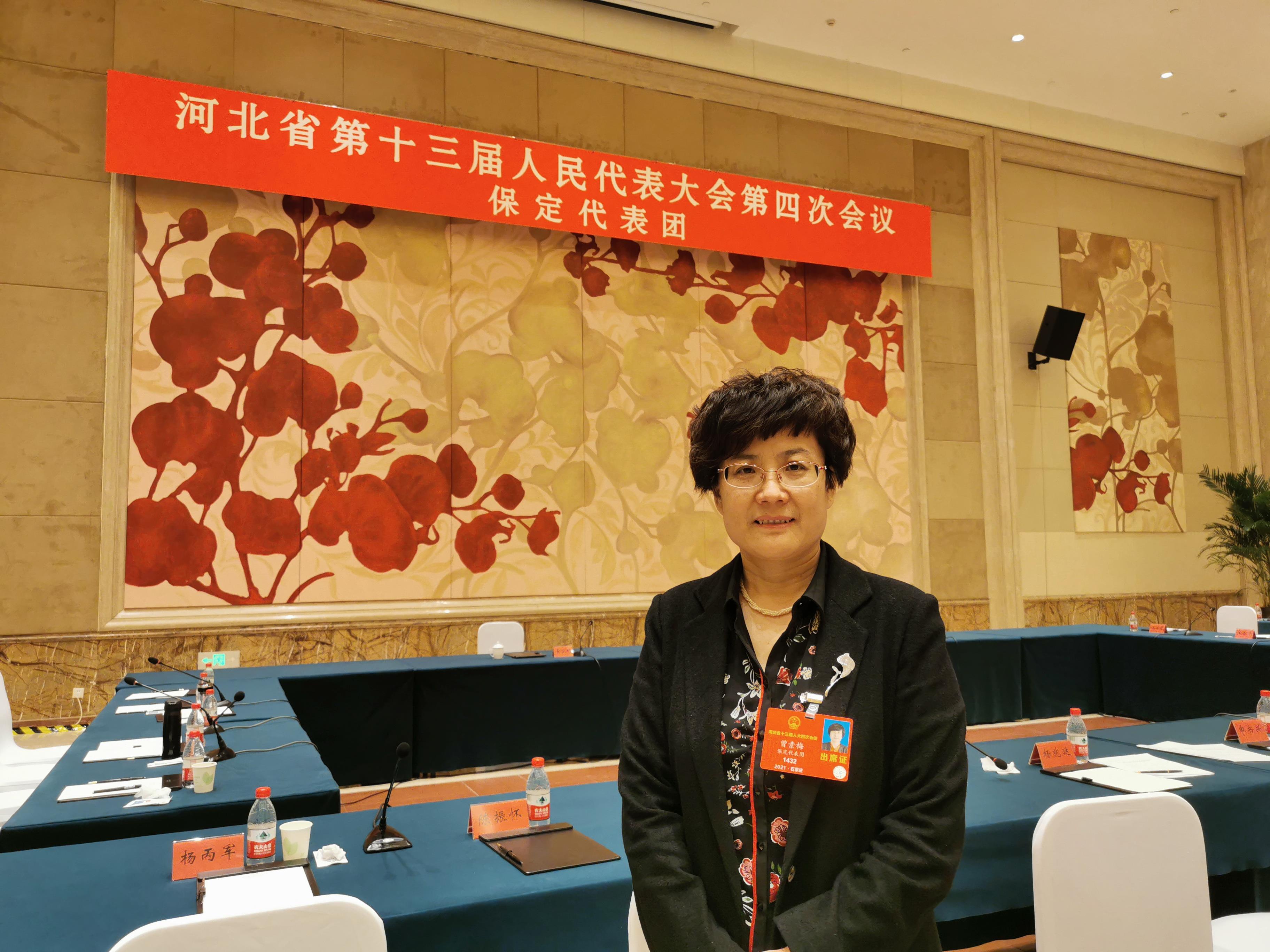 聚焦河北两会 | 曾素梅：依托河北红色文化资源 建设党性教育基地
