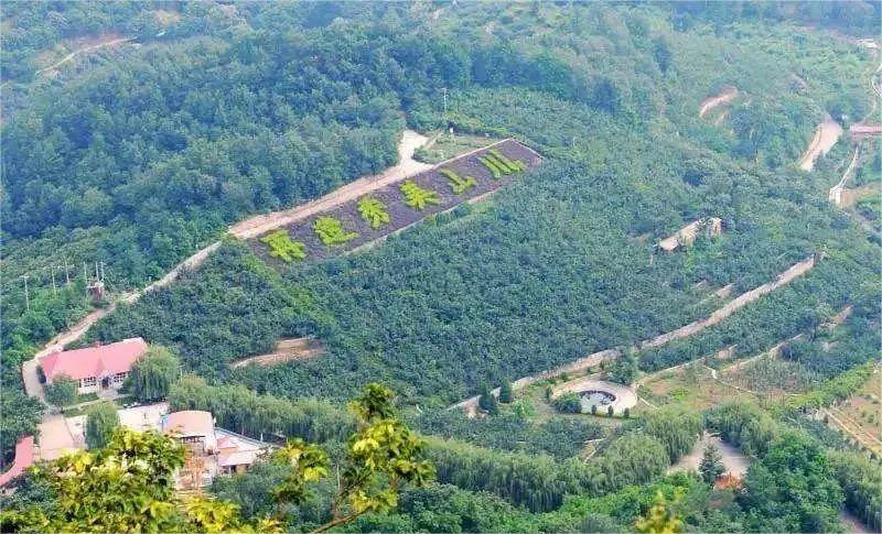 植树节 | 走进前南峪，看“太行山最绿的地方”