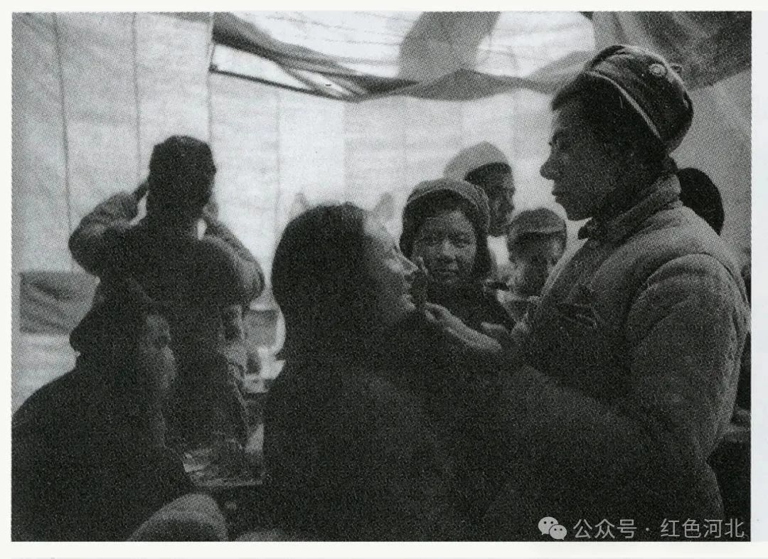 1734052312359487.jpg 5.jpg