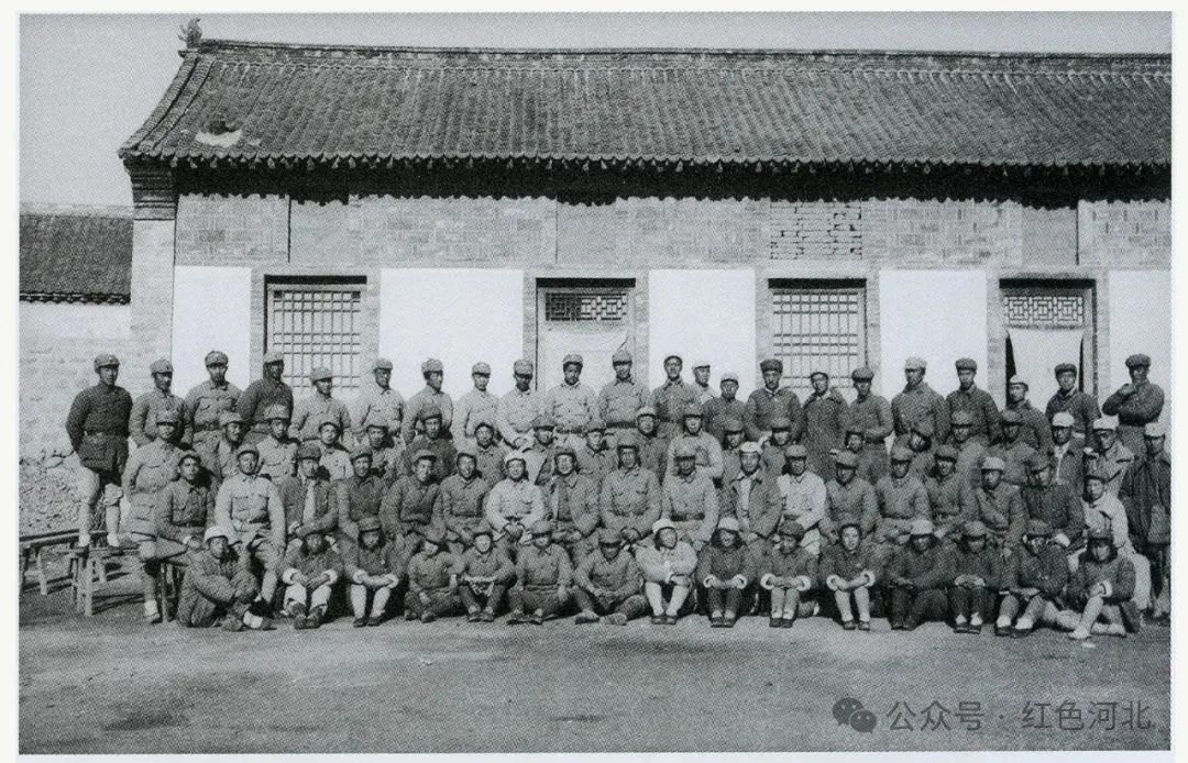 1734052423205694.jpg 12.jpg