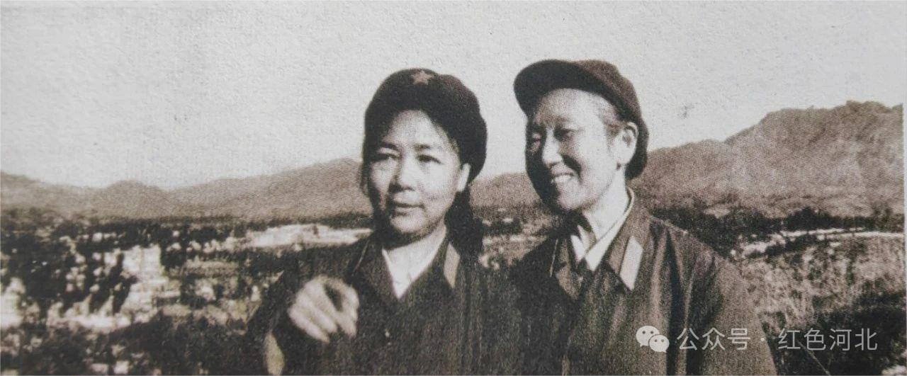 1734052450919794.png 15.png