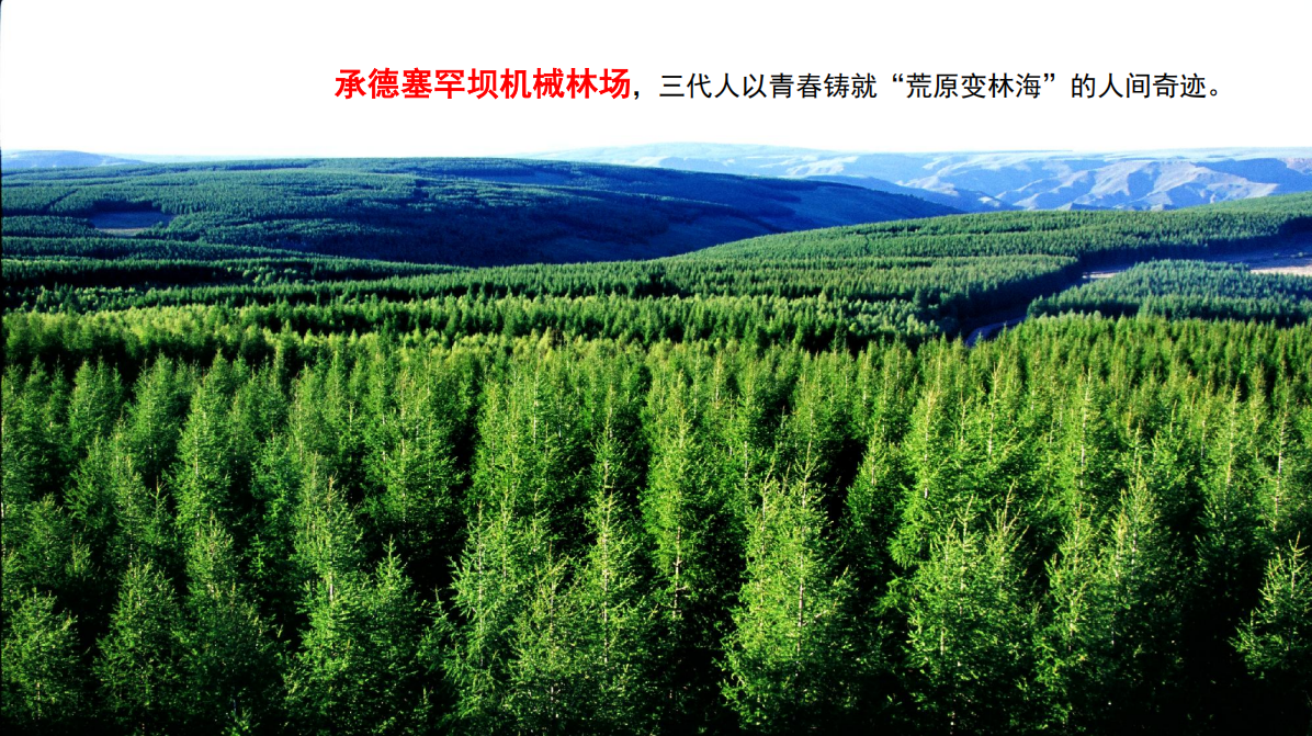 1763341320387394.png 11.png