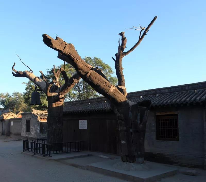 微信图片_20200813144046.jpg