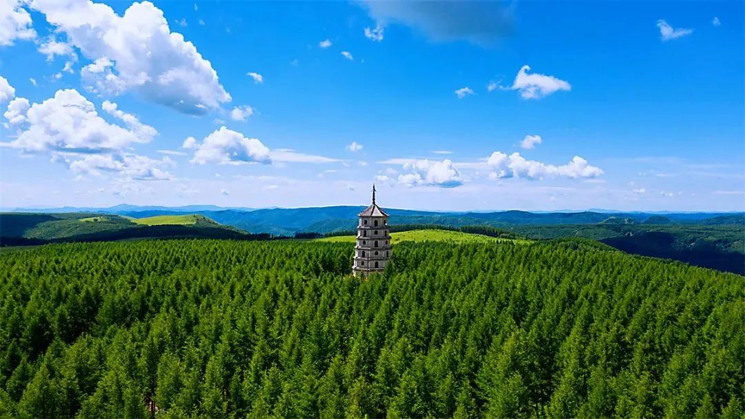 塞罕坝机械林场续写新的绿色奇迹